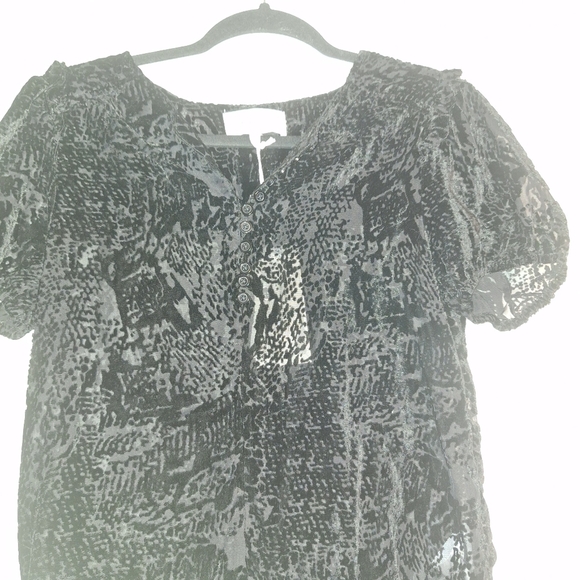 NWT Dear John Verona Spotted Velvet Sheer Top Size S Black Short Sleeve - Picture 3 of 13